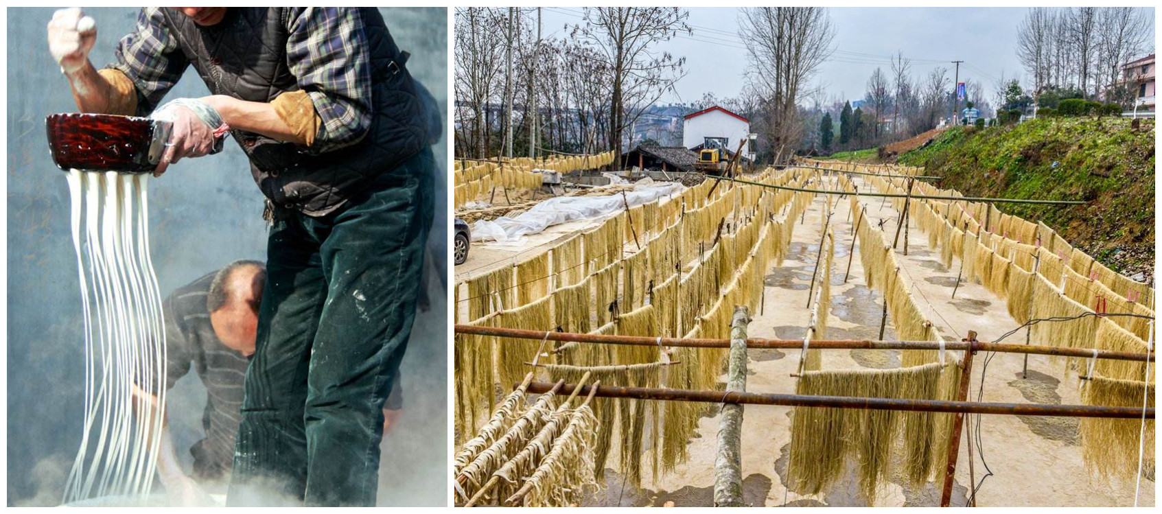 辨別紅薯粉條真假方法 辨別紅薯粉條真假方法