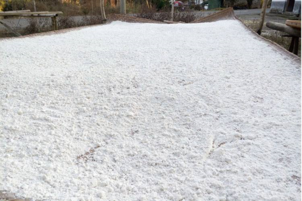 紅薯粉條加工所用淀粉 紅薯粉條加工所用淀粉