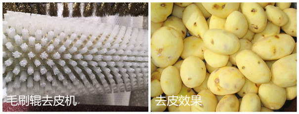 木薯去皮機-毛刷輥 木薯去皮機-毛刷輥