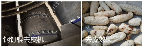 木薯去皮機-鋼釘輥 木薯去皮機-鋼釘輥