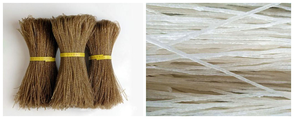 粉條形態對比 粉條形態對比