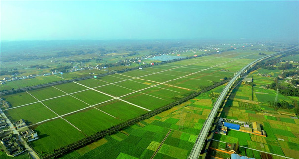 紅薯產業鏈條 紅薯產業鏈條