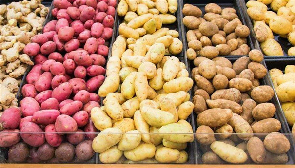 淀粉、粉條加工原料 淀粉、粉條加工原料