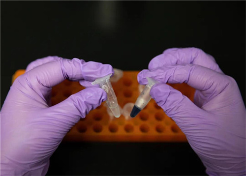 厲害了我的國!西北風真能喝飽了,中國首次實現二氧化碳人工合成淀粉 厲害了我的國!西北風真能喝飽了,中國首次實現二氧化碳人工合成淀粉